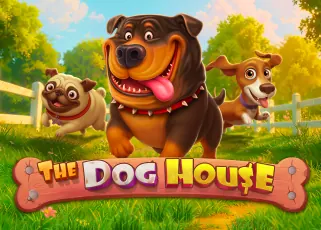 pgrich999 The Dog House ทดลองเล่นฟรี